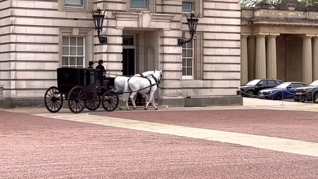 No One Could Believe Their Eyes! (Rare Sighting) #buckinghampalace ￼