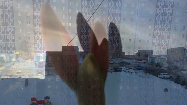 В ожидании 8 Марта смотреть онлайн