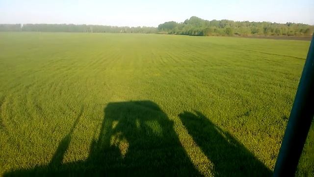 Всходы яровой пшеницы сплошного посева смотреть онлайн