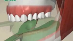 Циркониевые коронки, зубы - цена в Москве