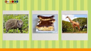 Алфавит Учимся Читать с Кругляшиком Буквы и Звуки - Буква Э