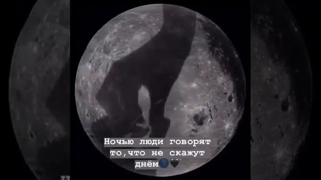 ночью люди говорят то что не скажут днем ?2020 смотреть онлайн