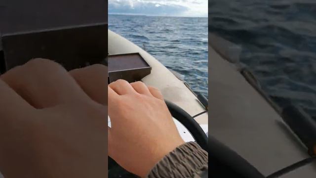 ямаха 25 bwcs на риб скайбот 440 смотреть онлайн