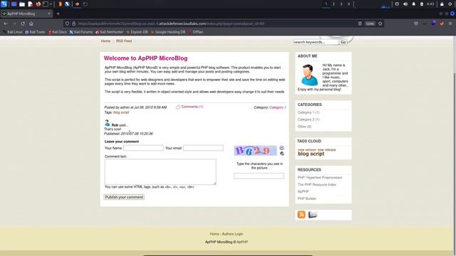 5.8. Introduction to Stored XSS смотреть онлайн