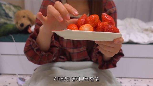 ENG) vlog 자취 브이로그, 킹타이거새우 먹고 불닭짬뽕 끓이는 집밥 먹방 일상ㅣ김치전, 떡만둣국, 호떡, 오븐스파게티, 하와이안피자, 불고기, 가마로닭강정, 대왕새우 смотреть онлайн