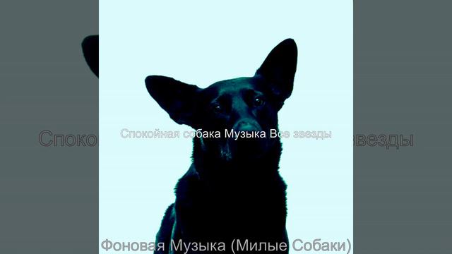 Звуки (Спокойные собаки) смотреть онлайн