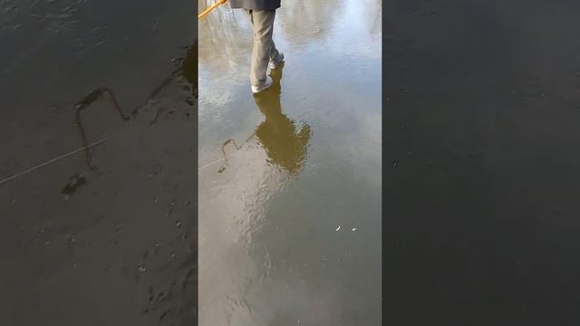 Первая рыбалка зимой 2018