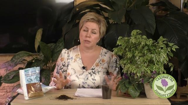 УДИВИТЕЛЬНАЯ МИКОРИЗА! ПРАВИЛА ИСПОЛЬЗОВАНИЯ И ОТВЕТЫ НА ВСЕ ВАШИ ВОПРОСЫ! смотреть онлайн