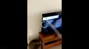 разбил телевизор