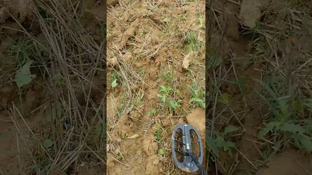 TEKNETICS T2 смотреть онлайн