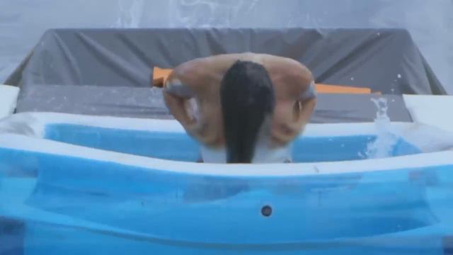 AFOGANDO_O_GANSO_-_PANICATS_Vs__EX-PANICATS