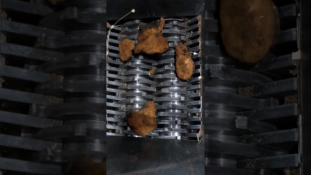 Измельчение грибов чаги на двухвальном шредере ДШВ 500 смотреть онлайн