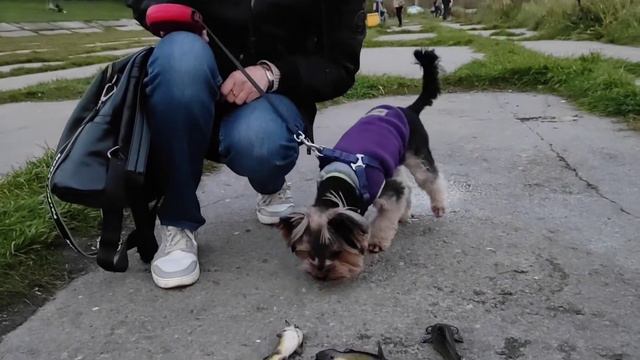 Приятные встречи и знакомства в Виннице 👍 на Вишенском озере Байкал Украина 🇺🇦 @Tati0601 💖 14 смотреть онлайн