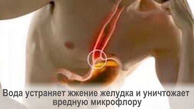 Почему горячая вода была такой важной для тибетских монахов смотреть онлайн