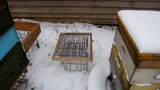 Зимовка пчел в улье без дна. смотреть онлайн