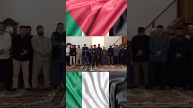 Обращение Имамов Дагестана смотреть онлайн