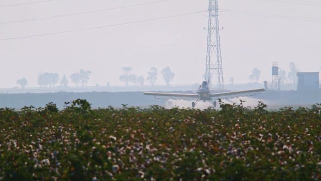 How Cotton Is Grown and Harvested | Where Cotton Fabric Comes From смотреть онлайн