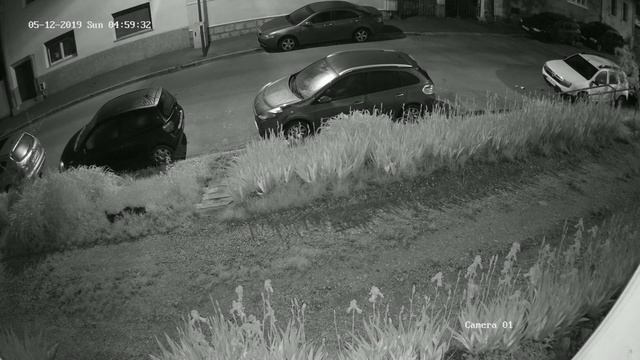 HIKVISION DS-2CD2185FWD-I 4K Cats Urinating on Cars смотреть онлайн
