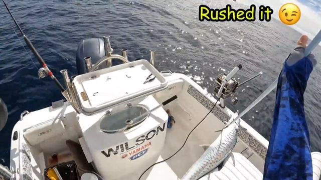 The secret to catching deep holding fish! (catch & clean) смотреть онлайн