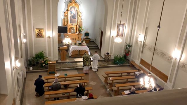 Dicit Dominus - 24. Dominica Post Pentacosten -introitus