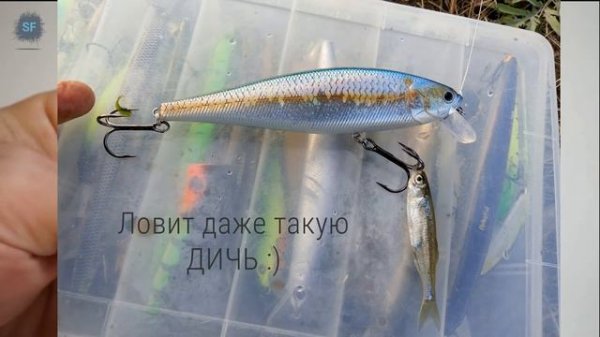 Lucky Craft Pointer 128 SR: Плавающая бочка