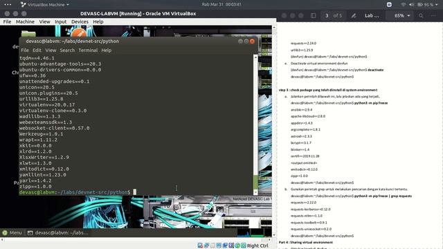 Lab 3.1.12 - Explore Python Development Tools смотреть онлайн