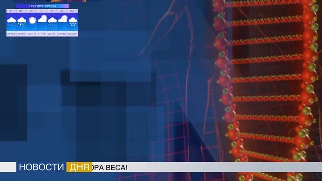 Меню для набора веса с секретом смотреть онлайн