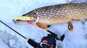 Ловля щуки на вибы со льда.