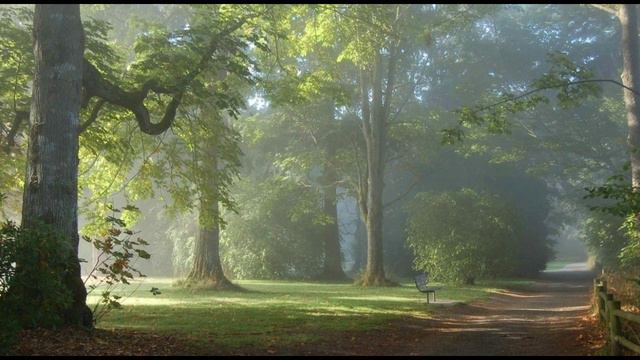 И.А. Бунин "Несрочная весна" смотреть онлайн