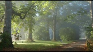 И.А. Бунин "Несрочная весна"