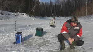 Хариус зимой. Рыбалка на хариуса в феврале. Снова ловим на мормышку.