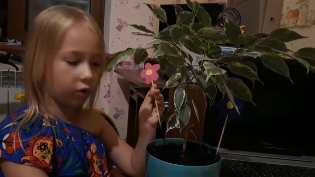 украшение для комнатных цветов смотреть онлайн