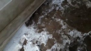 Ваз 2114  как открутить ступичную гайку если слизаны грани