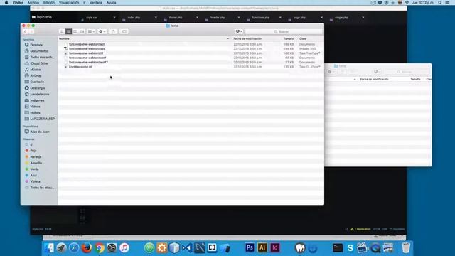 04 Agregando Font Awesome a WordPress смотреть онлайн