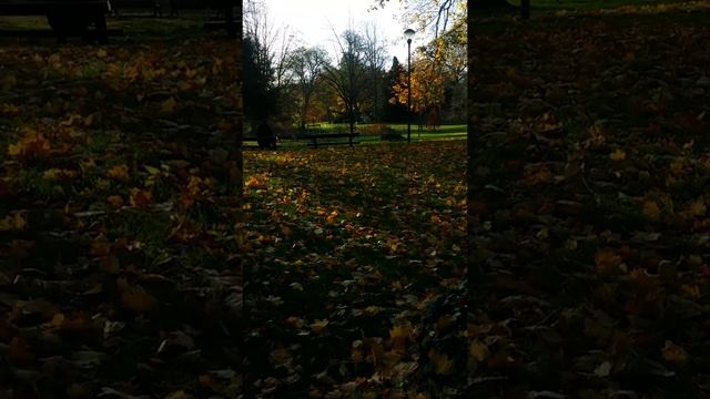 Парк Фредерика Кюри. смотреть онлайн