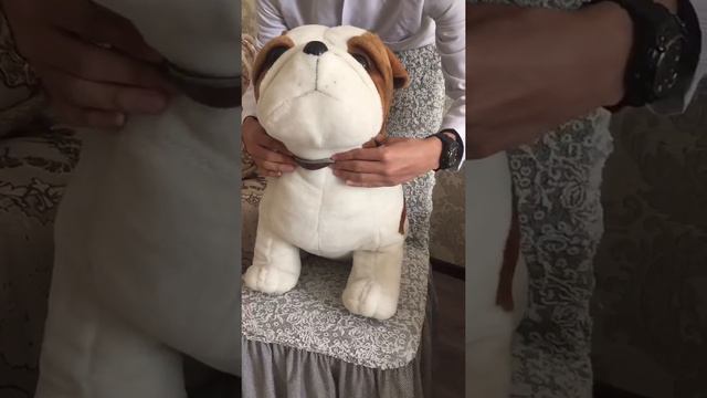 Palp щитовидной желеьl смотреть онлайн