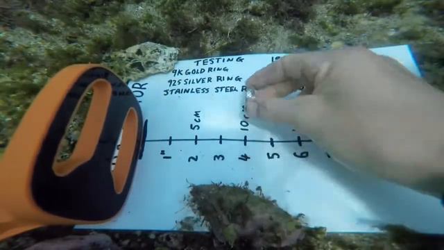 Scuba tector тесты под водой 50 метров! Самый крутой подводный пинпоинтер смотреть онлайн