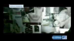 Акула   Стаи птиц