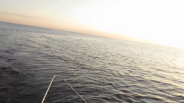 Fishing, воблеры HALCO. Ловим хищника на Ладоге. смотреть онлайн