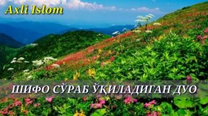 ХАММА ДАРДГА ШИФО ДУО