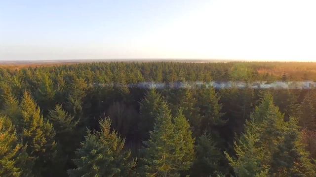 15. COVER./НАД ПОЛЯМИ ГДЕ ДАВНО УЖЕ НЕ КОШЕНО.../ Песня из к/ф "Редкая группа крови" смотреть онлайн