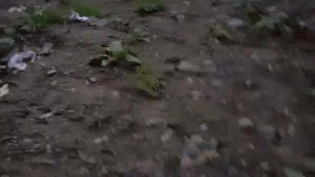Влог в деревне, очень интересно. Крутой трюк в конце смотреть онлайн
