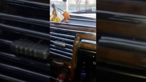 Торпеда на соболь,своими руками