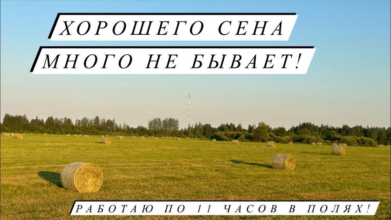 В день по 300 рулонов сена, реально ли заготовить девушке работая на тракторе?! Жизнь в деревне! смотреть онлайн