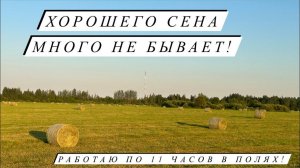 В день по 300 рулонов сена, реально ли заготовить девушке работая на тракторе?! Жизнь в деревне!
