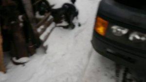 Меняю антифриз на Мане!