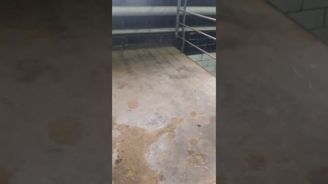 Замена топливного фильтра ниссан сирена TC24 смотреть онлайн