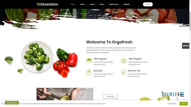 Orgafresh -“ Organic and Food WooCommerce WordPress Theme Esme смотреть онлайн