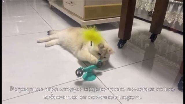 Игрушка для кошек ветряная мельница ，Интерактивная игрушка для кошек в помещении, Самостоятельная и смотреть онлайн