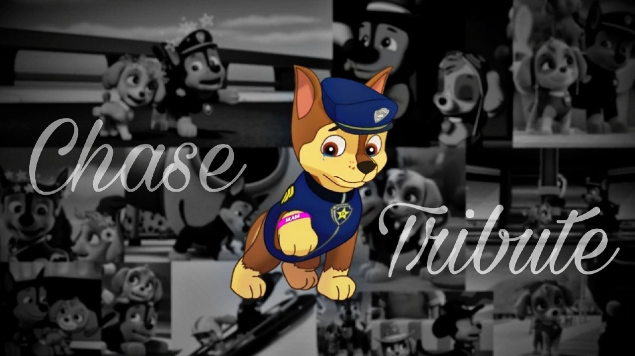 ? Гонщик и Скай - Самый грустный клип / Chase x Skye ? смотреть онлайн